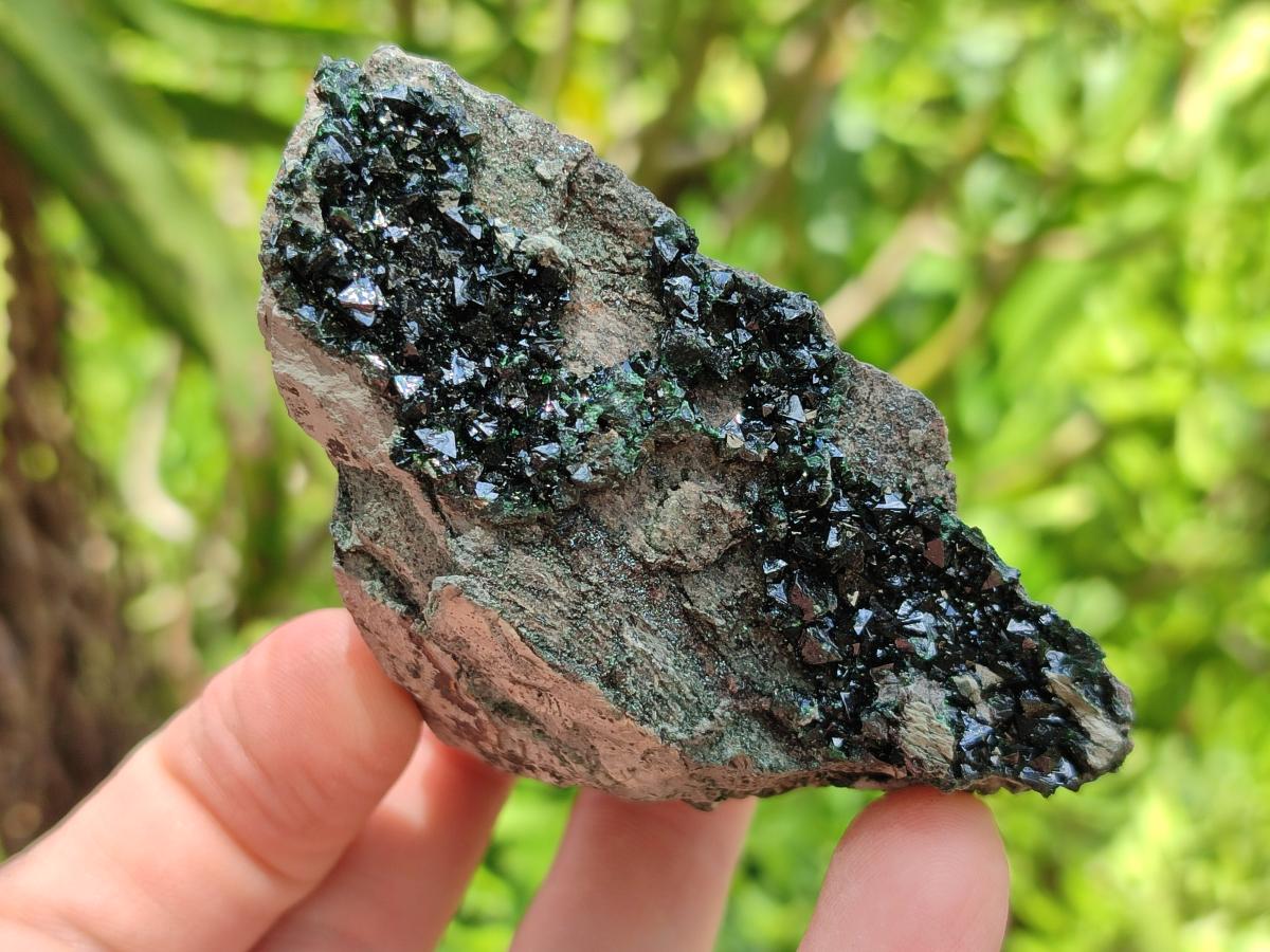 Natural Libethenite Crystals on Dolomite Matrix Specimens x 6 From Shituru, Congo