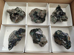 Natural Libethenite Crystals on Dolomite Matrix Specimens x 6 From Shituru, Congo - Toprock Gemstones and Minerals 