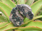 Natural Libethenite Crystals on Dolomite Matrix Specimens x 6 From Shituru, Congo - Toprock Gemstones and Minerals 