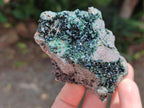 Natural Libethenite Crystals on Dolomite Matrix Specimens x 6 From Shituru, Congo - Toprock Gemstones and Minerals 