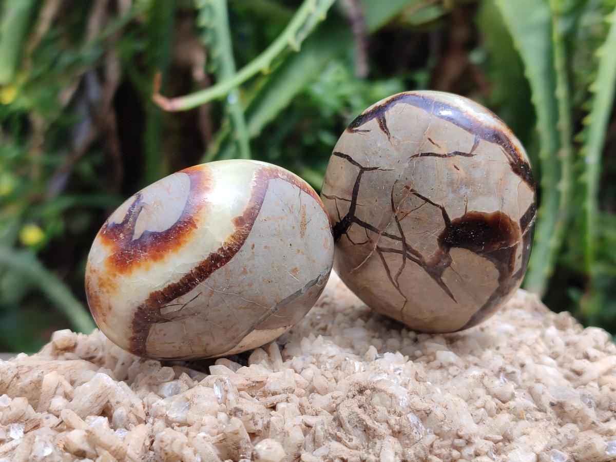 Polished Septerye Galets x 12 From Mahajanga, Madagascar