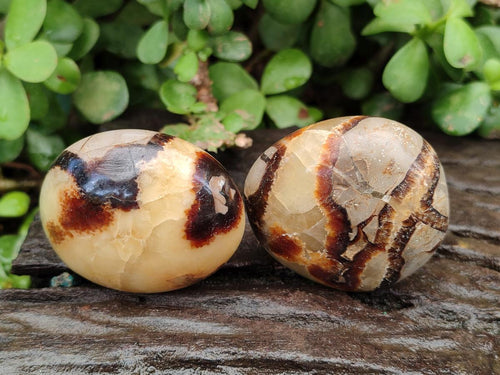 Polished Septerye Galets x 12 From Mahajanga, Madagascar