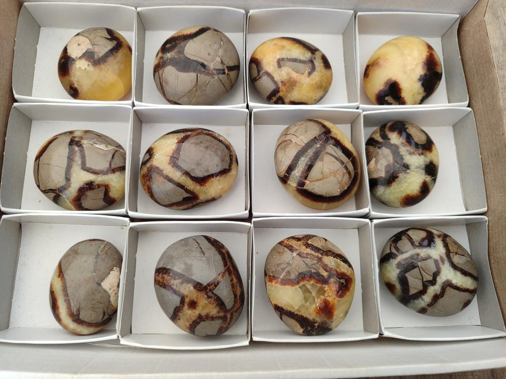 Polished Septerye Galets x 12 From Mahajanga, Madagascar