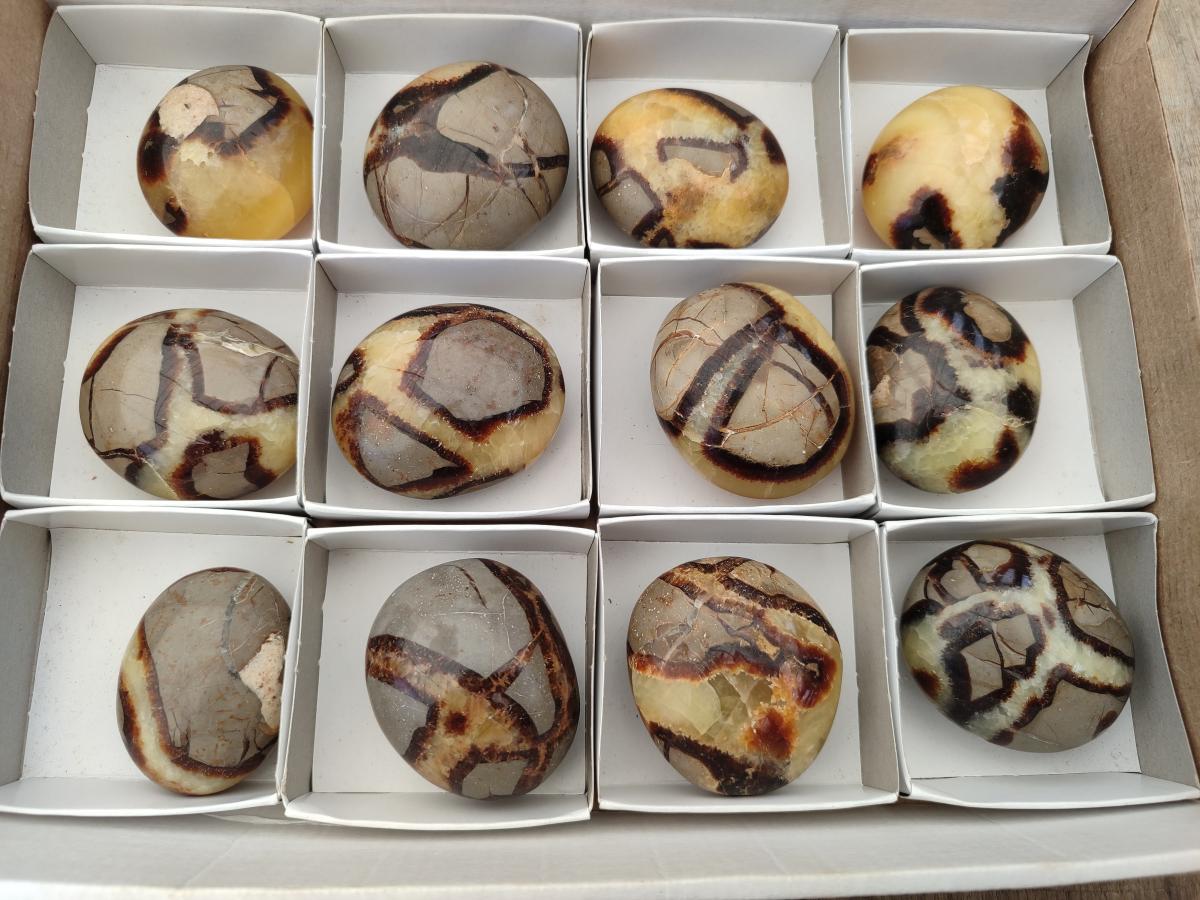 Polished Septerye Galets x 12 From Mahajanga, Madagascar