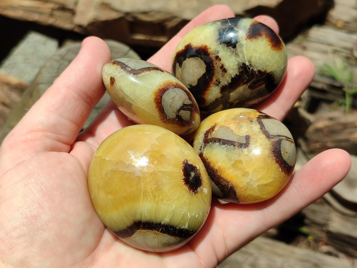 Polished Septerye Galets x 12 From Mahajanga, Madagascar