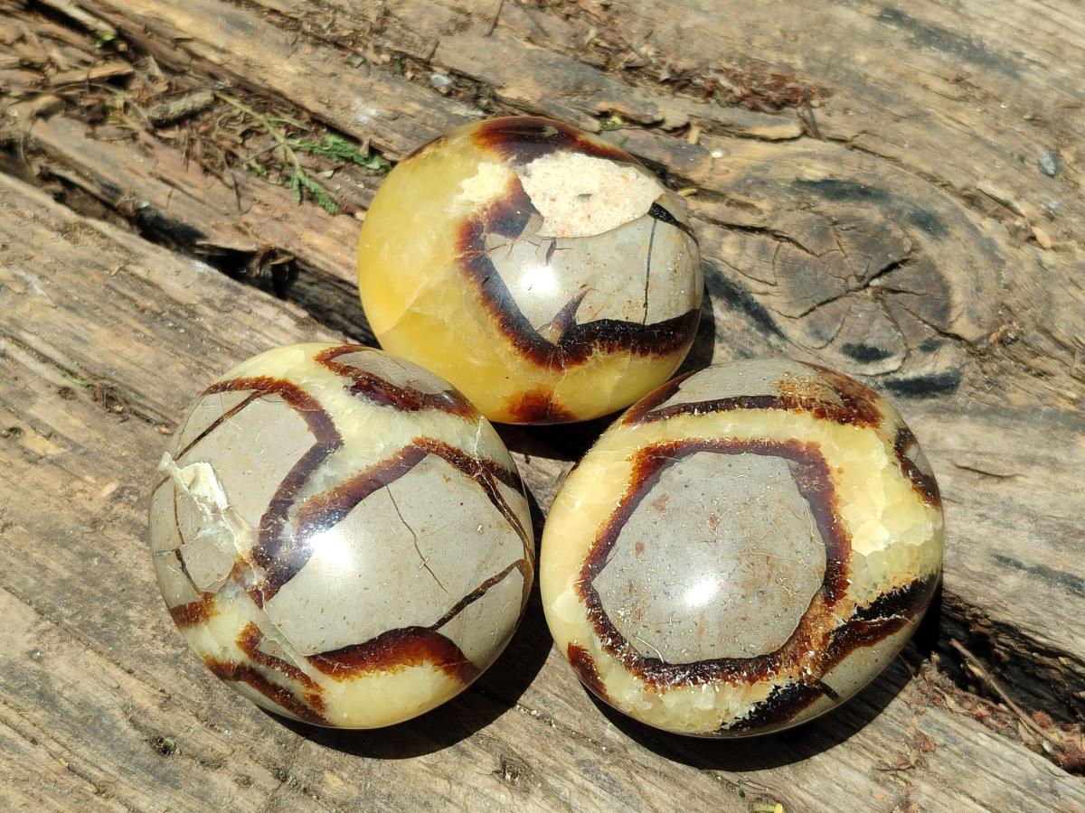 Polished Septerye Galets x 12 From Mahajanga, Madagascar