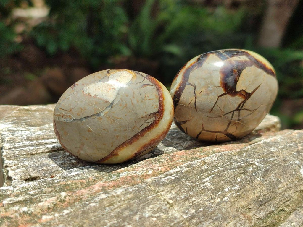 Polished Septerye Galets x 12 From Mahajanga, Madagascar