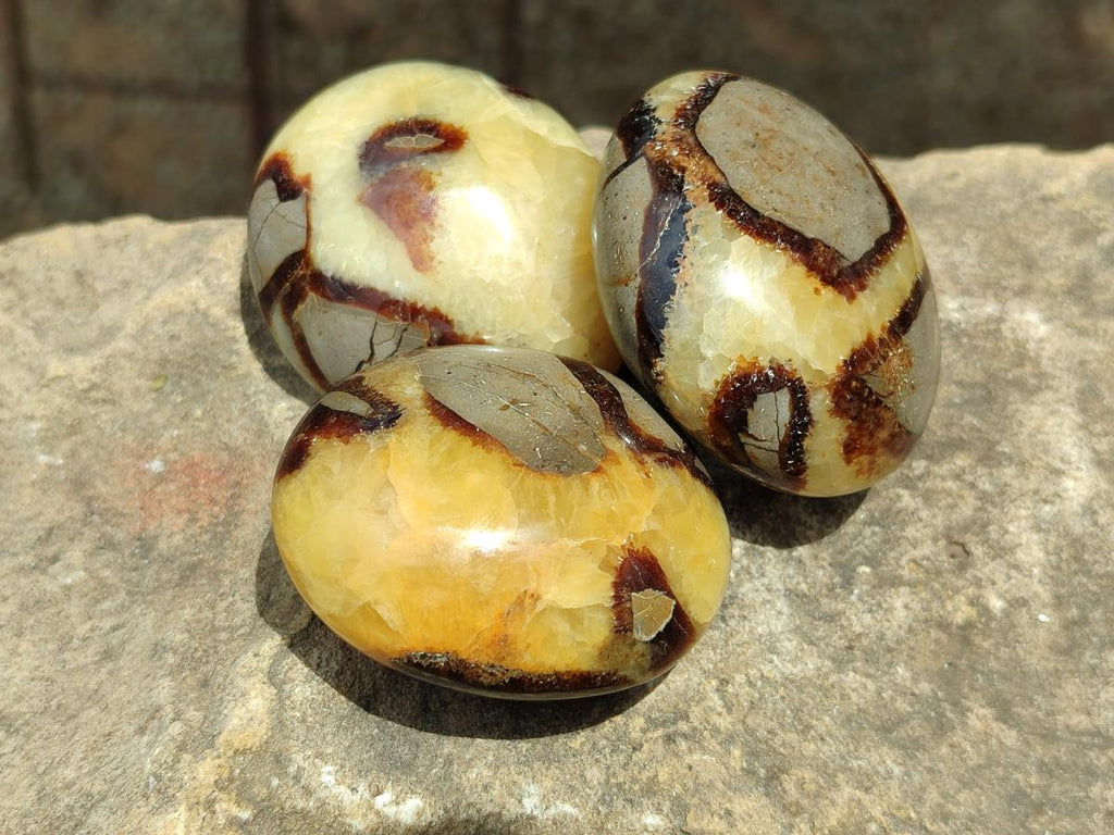 Polished Septerye Galets x 12 From Mahajanga, Madagascar