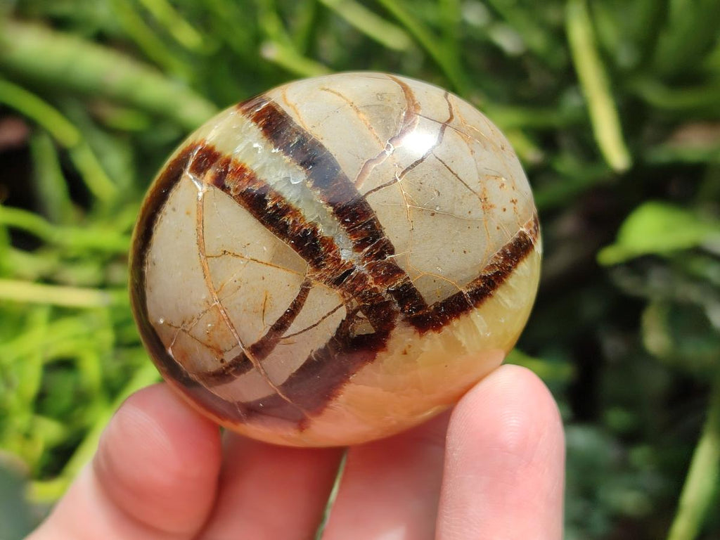 Polished Septerye Galets x 12 From Mahajanga, Madagascar