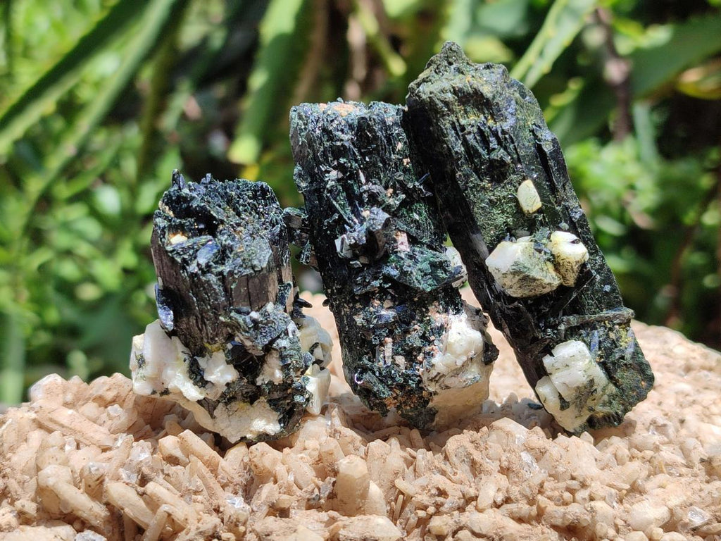 Natural Aegirine and Arfvedsonite Crystals x 35 From Zomba, Malawi