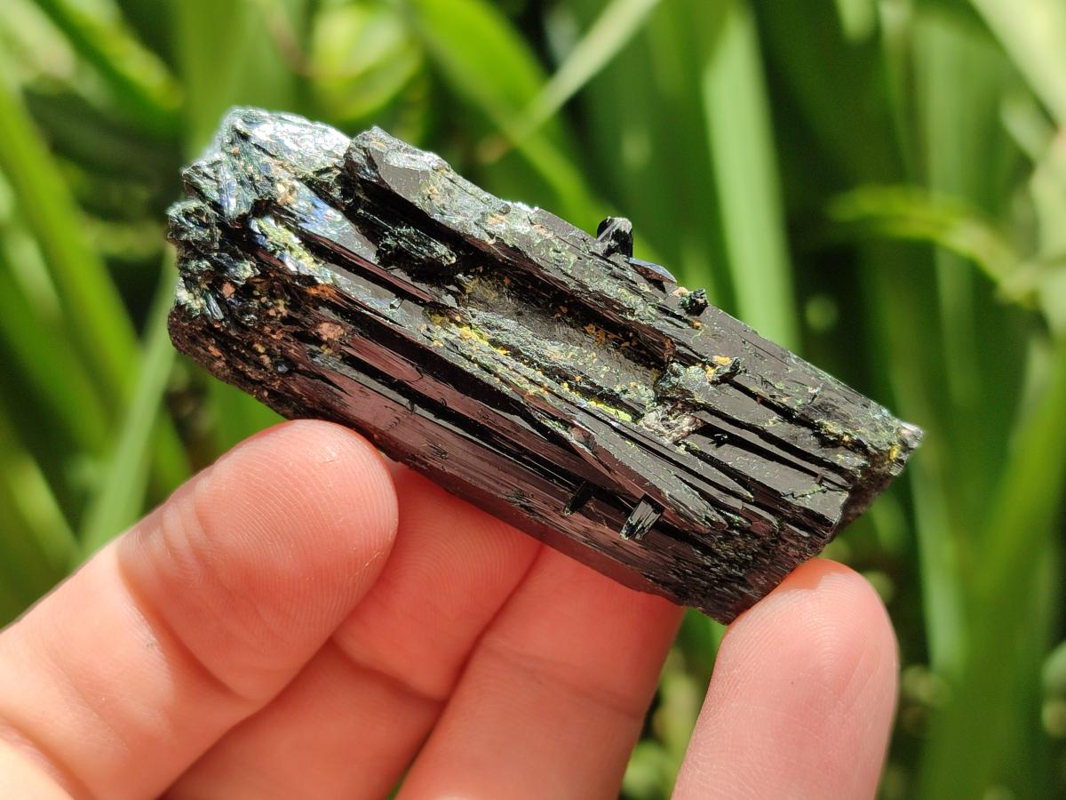 Natural Aegirine and Arfvedsonite Crystals x 35 From Zomba, Malawi