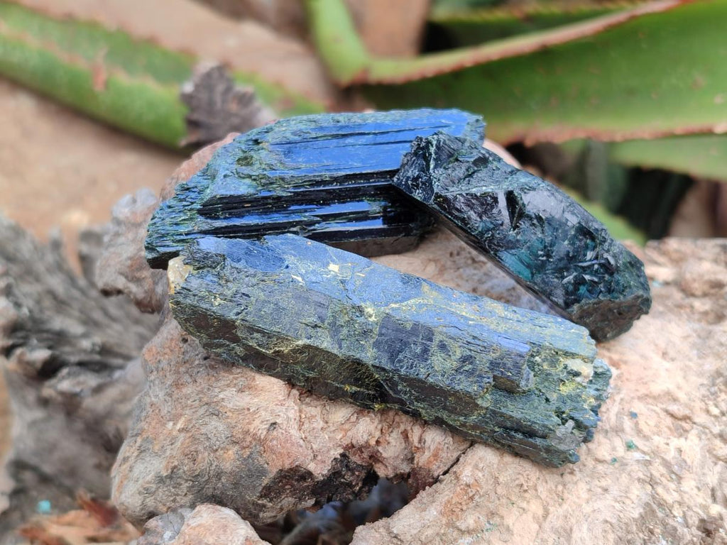 Natural Aegirine and Arfvedsonite Crystals x 35 From Zomba, Malawi