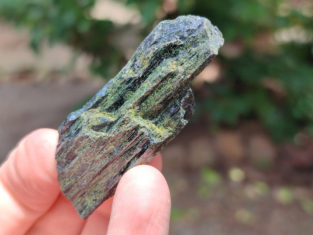 Natural Aegirine and Arfvedsonite Crystals x 35 From Zomba, Malawi