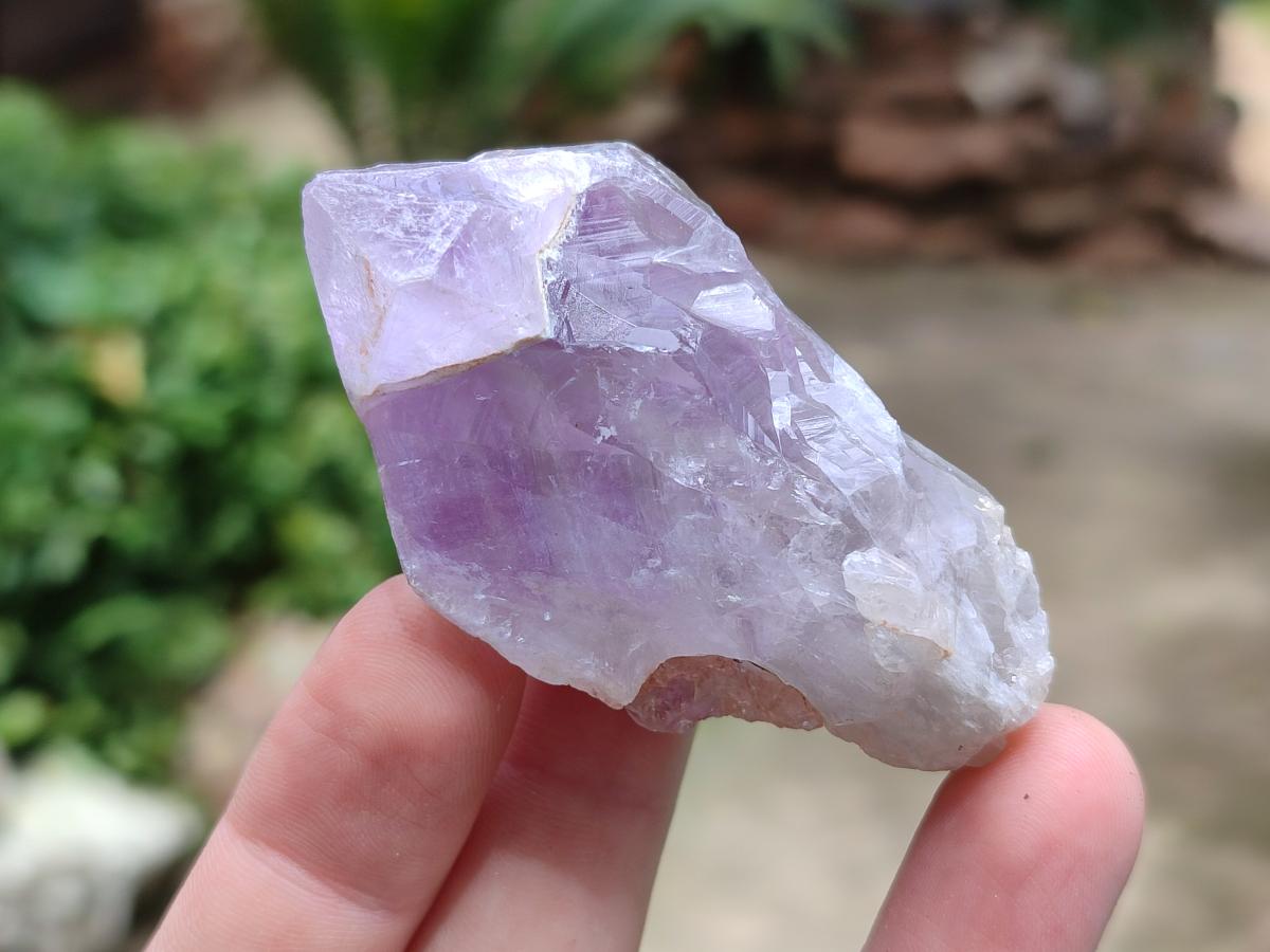 Natural Jacaranda Amethyst Single Crystals x 35 From Mumbwa, Zambia