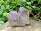 Natural Jacaranda Amethyst Single Crystals x 35 From Mumbwa, Zambia