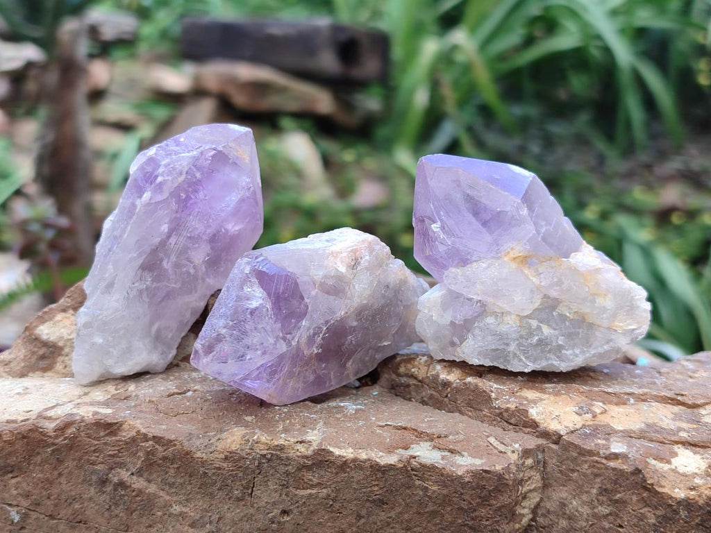 Natural Jacaranda Amethyst Single Crystals x 35 From Mumbwa, Zambia