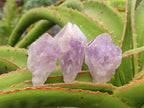 Natural Jacaranda Amethyst Single Crystals x 35 From Mumbwa, Zambia