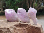 Natural Jacaranda Amethyst Single Crystals x 35 From Mumbwa, Zambia