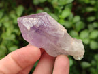 Natural Jacaranda Amethyst Single Crystals x 35 From Mumbwa, Zambia