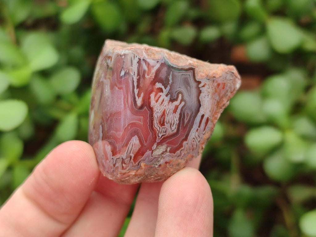 Polished One Side Red Shashe River Agate Nodules x 35 From Shashe River, Zimbabwe