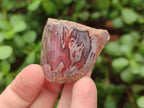 Polished One Side Red Shashe River Agate Nodules x 35 From Shashe River, Zimbabwe