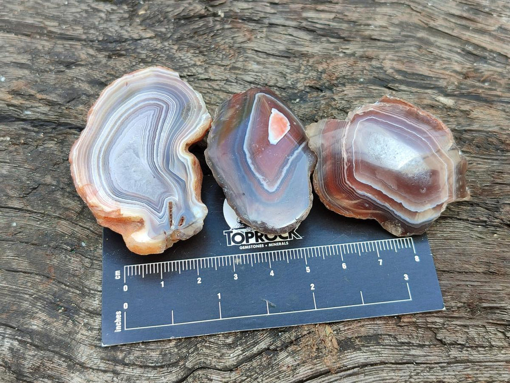Polished One Side Red Shashe River Agate Nodules x 35 From Shashe River, Zimbabwe