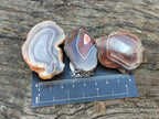 Polished One Side Red Shashe River Agate Nodules x 35 From Shashe River, Zimbabwe