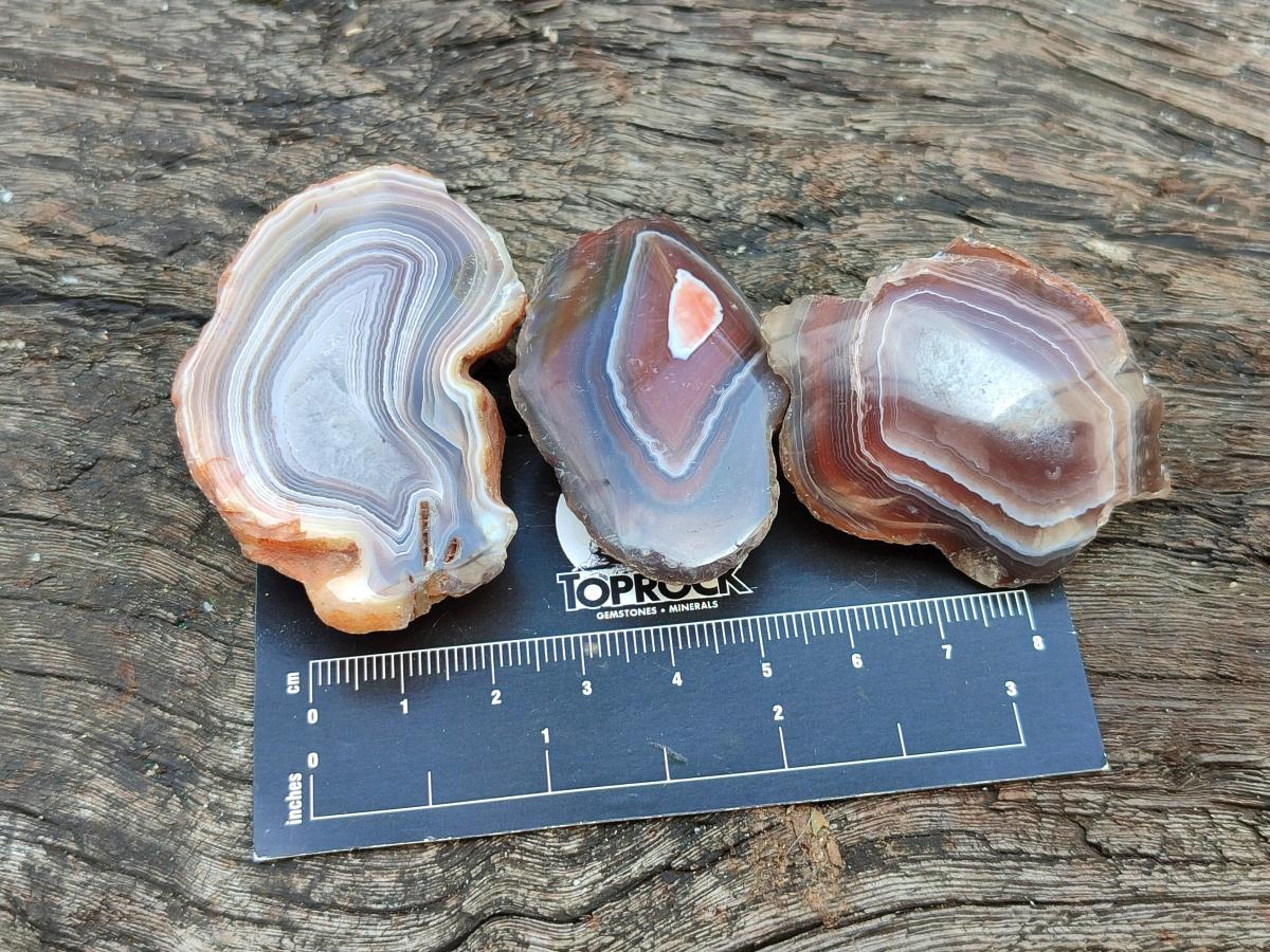 Polished One Side Red Shashe River Agate Nodules x 35 From Shashe River, Zimbabwe
