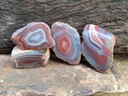 Polished One Side Red Shashe River Agate Nodules x 35 From Shashe River, Zimbabwe