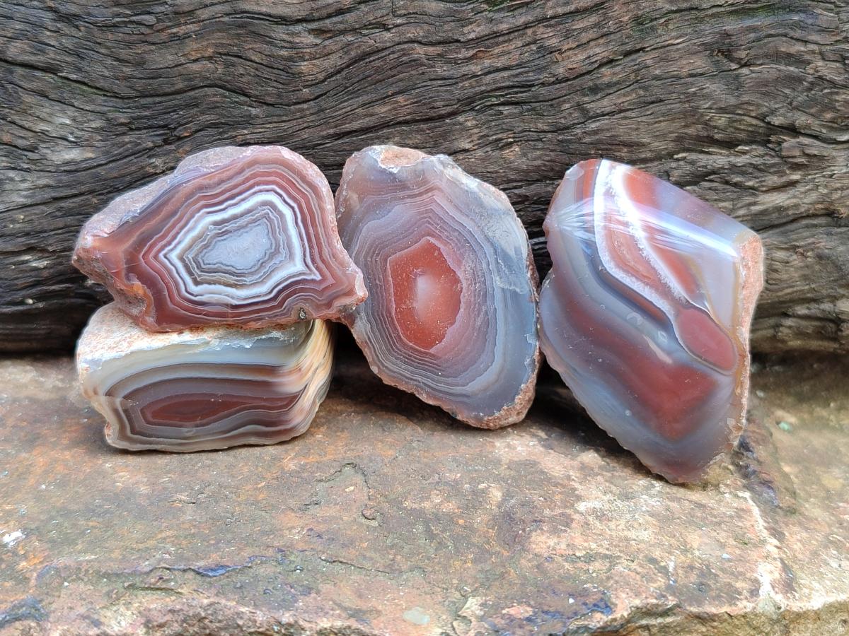 Polished One Side Red Shashe River Agate Nodules x 35 From Shashe River, Zimbabwe