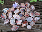 Polished One Side Red Shashe River Agate Nodules x 35 From Shashe River, Zimbabwe