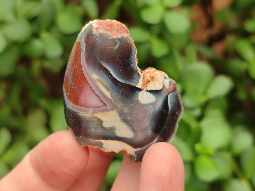 Polished One Side Red Shashe River Agate Nodules x 35 From Shashe River, Zimbabwe