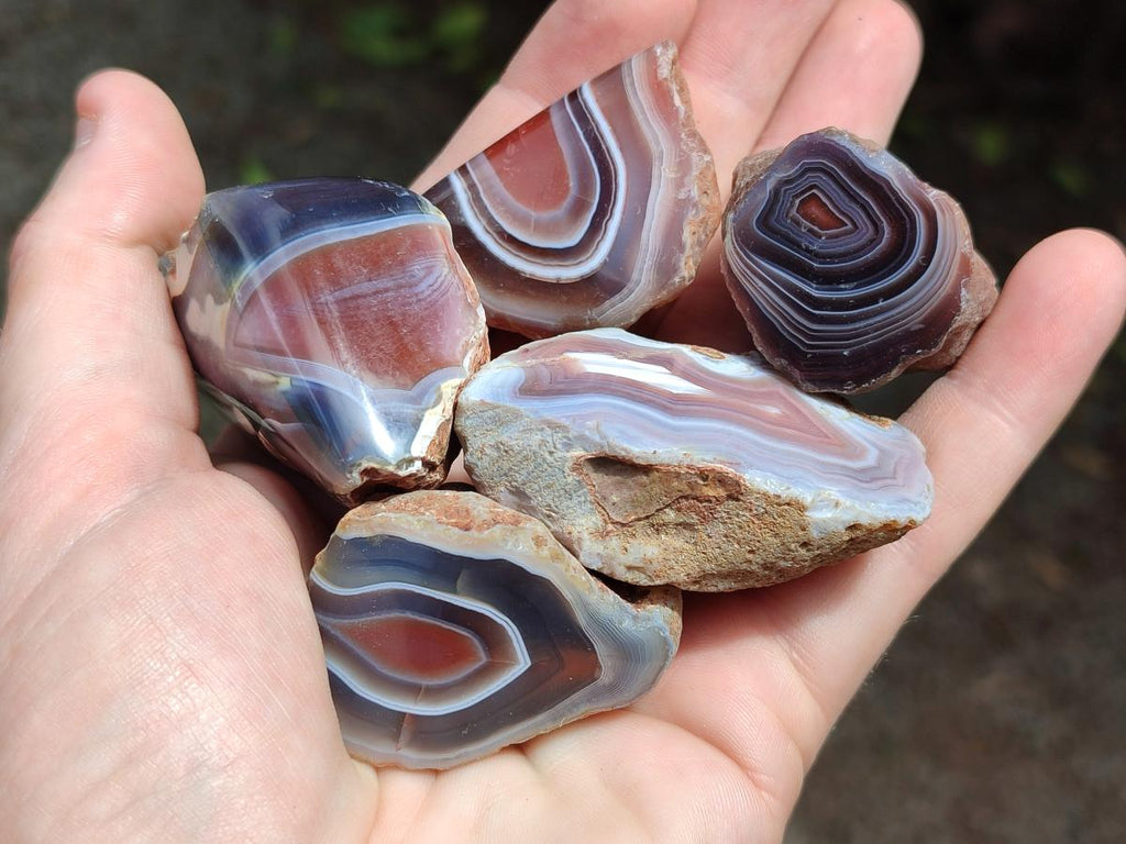 Polished One Side Red Shashe River Agate Nodules x 35 From Shashe River, Zimbabwe