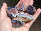 Polished One Side Red Shashe River Agate Nodules x 35 From Shashe River, Zimbabwe