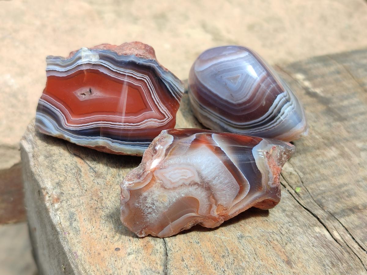 Polished One Side Red Shashe River Agate Nodules x 35 From Shashe River, Zimbabwe