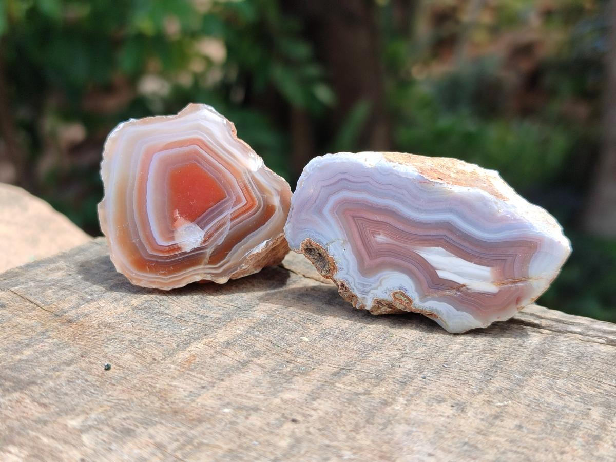 Polished One Side Red Shashe River Agate Nodules x 35 From Shashe River, Zimbabwe