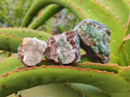 Natural Salrose with Chrysocolla, Cobaltian Dolomite and Malachite Specimens x 35 From Kakanda, Congo