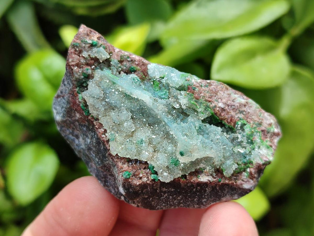 Natural Salrose with Chrysocolla, Cobaltian Dolomite and Malachite Specimens x 35 From Kakanda, Congo