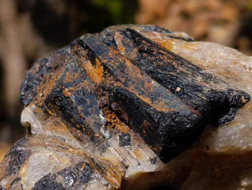 Natural Black Tourmaline in Quartz x 2 From Zimbabwe