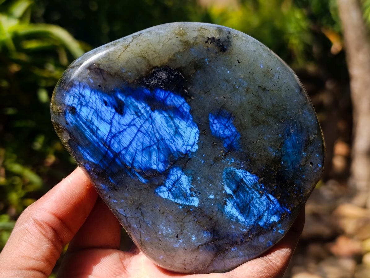 Polished Labradorite Standing Free Forms x 3 From Madagascar
