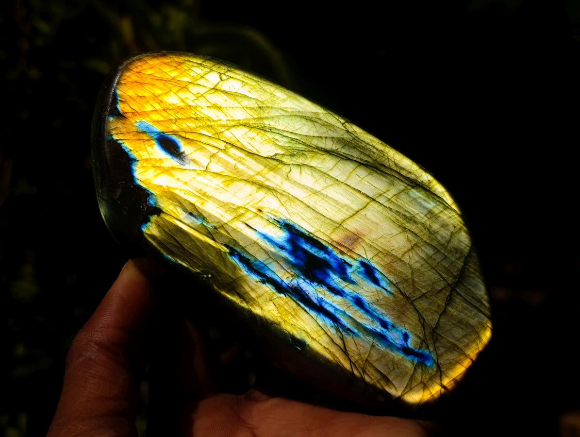 Polished Labradorite Standing Free Forms x 3 From Madagascar