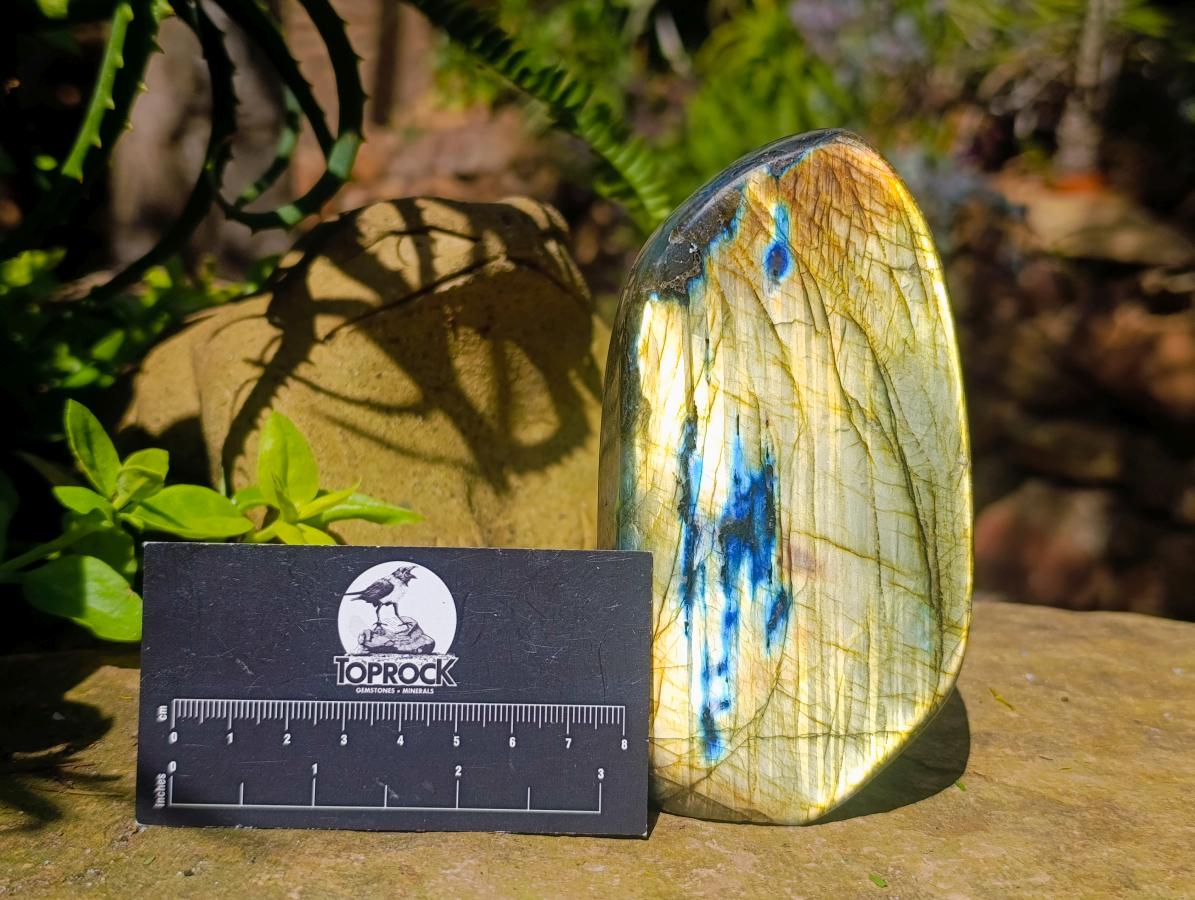 Polished Labradorite Standing Free Forms x 3 From Madagascar