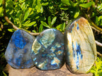 Polished Labradorite Standing Free Forms x 3 From Madagascar