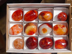 Polished Carnelian Agate Gemstone Galets x 12 From Madagascar