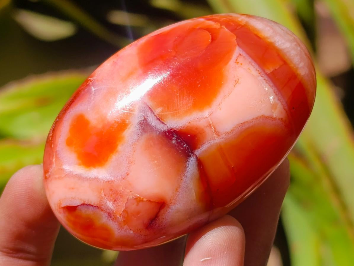 Polished Carnelian Agate Gemstone Galets x 12 From Madagascar