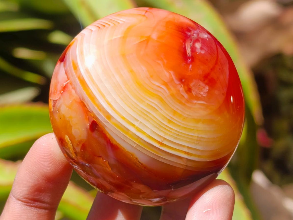 Polished Carnelian Agate Gemstone Galets x 12 From Madagascar