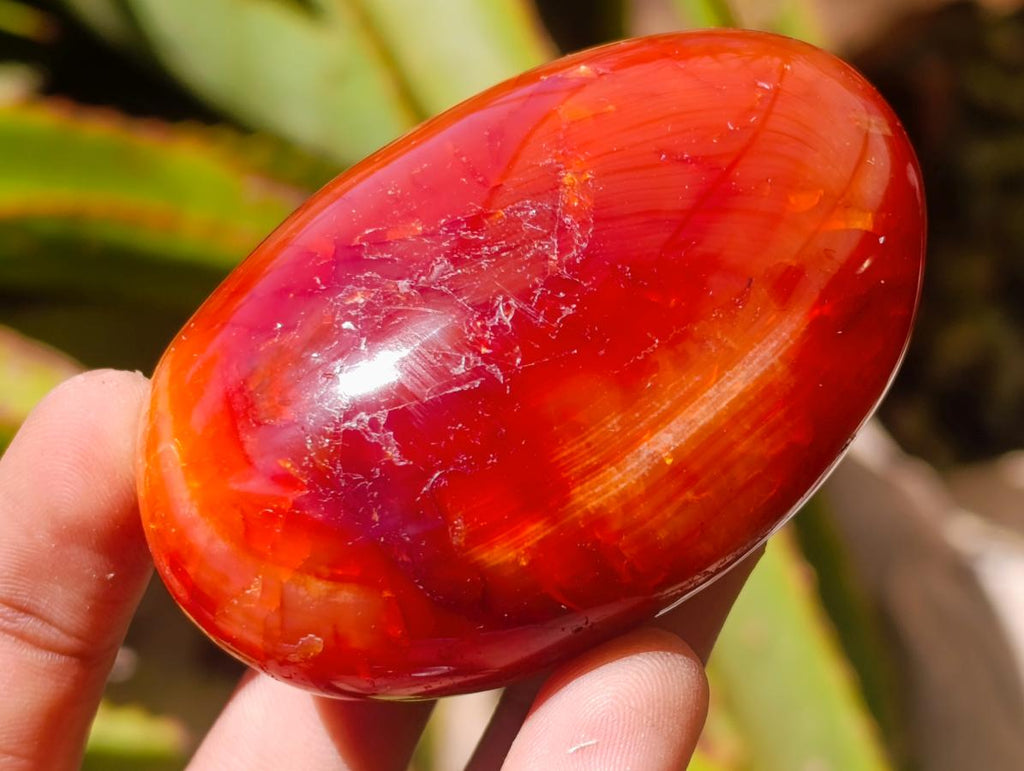 Polished Carnelian Agate Gemstone Galets x 12 From Madagascar