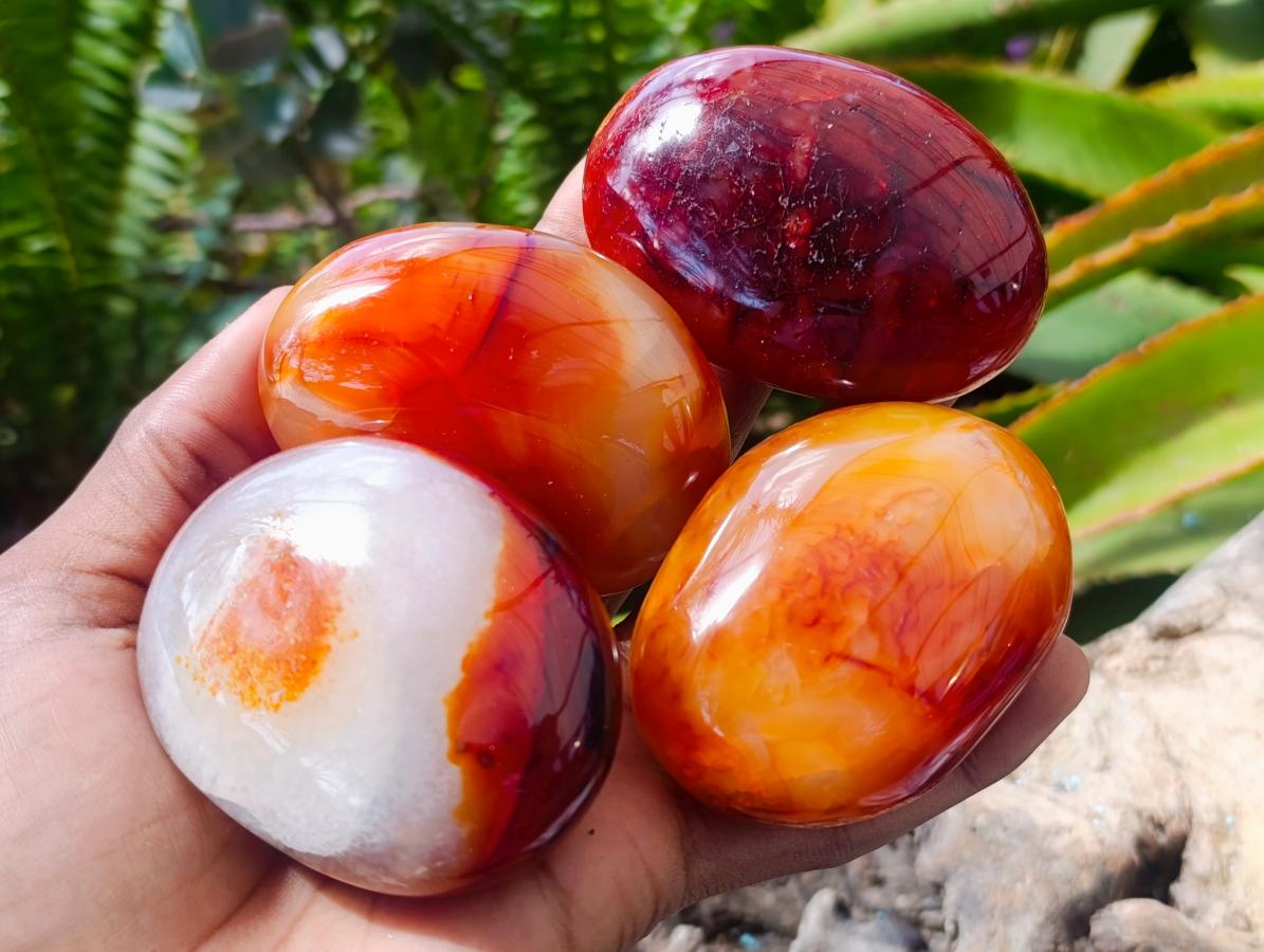 Polished Carnelian Agate Gemstone Galets x 12 From Madagascar
