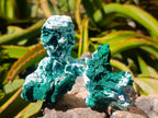 Natural Rare Malachite Pseudomorph Specimens x 6 From Kolwezi, Congo