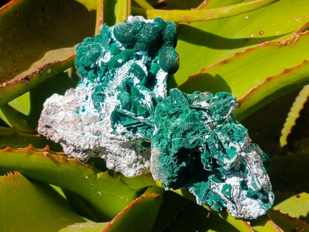 Natural Rare Malachite Pseudomorph Specimens x 6 From Kolwezi, Congo